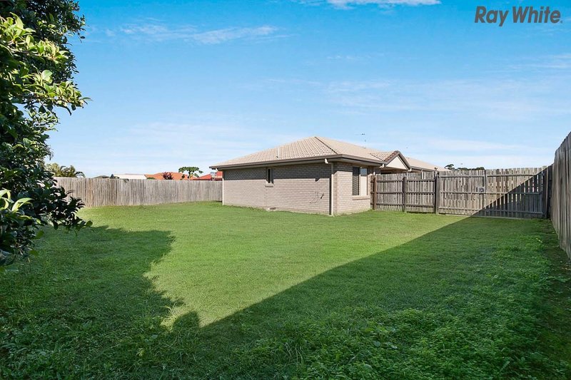 Photo - 1 Malcolm Court, Point Vernon QLD 4655 - Image 7