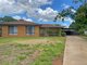 Photo - 1 Maple Court, Dubbo NSW 2830 - Image 1