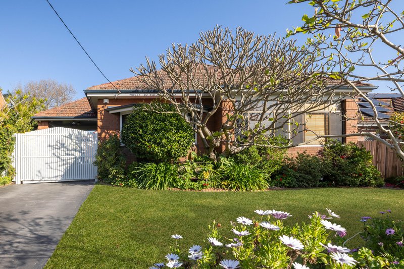 Photo - 1 Marion Street, Strathfield NSW 2135 - Image 17