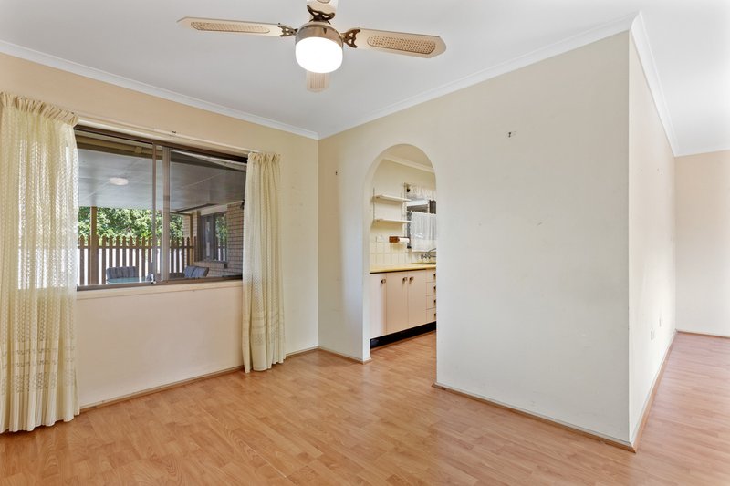 Photo - 1 Mark Street, Buderim QLD 4556 - Image 7