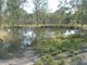 Photo - 1 Miller Crescent, Burrum Heads QLD 4659 - Image 5