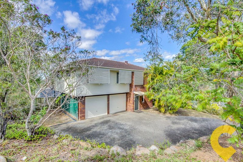 Photo - 1 Mirbelia Street, Everton Hills QLD 4053 - Image 18