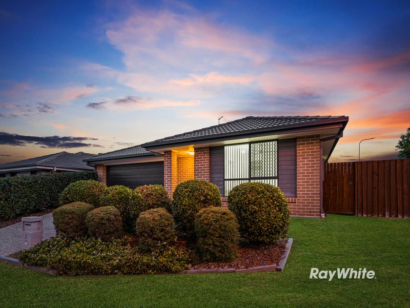 Photo - 1 Mount Ballow Street, Park Ridge QLD 4125 - Image 15