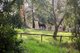Photo - 1 Nara Road, Stirling SA 5152 - Image 26