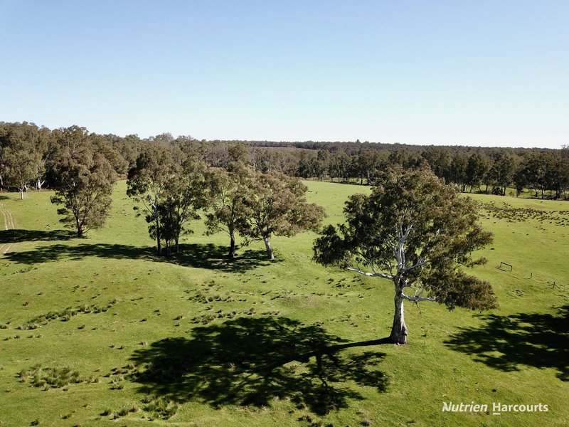 Photo - 1 North Killara Road, Bahgallah VIC 3312 - Image 8