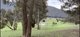 Photo - 1 Old Number Two Creek Road, Percydale VIC 3478 - Image 3