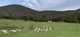 Photo - 1 Old Number Two Creek Road, Percydale VIC 3478 - Image 8