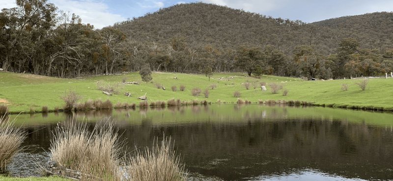 Photo - 1 Old Number Two Creek Road, Percydale VIC 3478 - Image 9