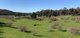 Photo - 1 Old Number Two Creek Road, Percydale VIC 3478 - Image 22