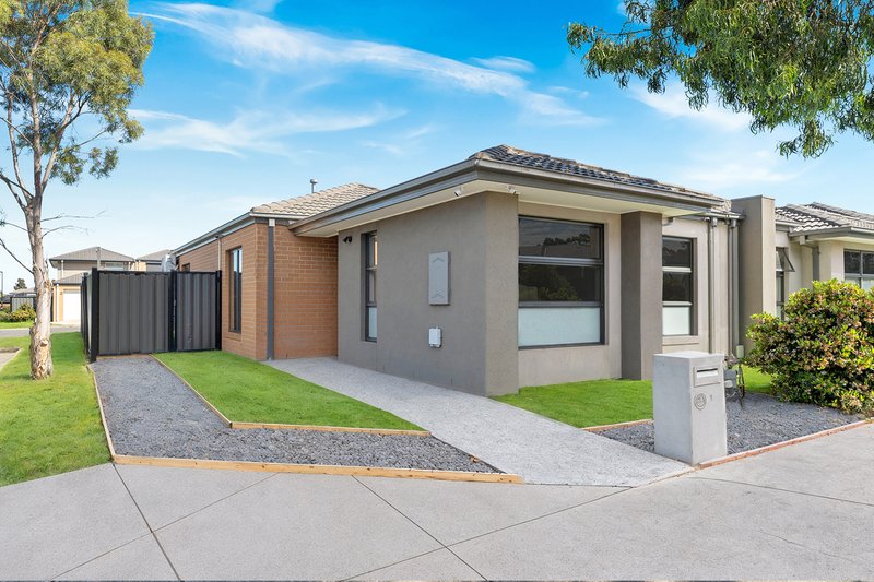 Photo - 1 Olivetree Loop, Craigieburn VIC 3064 - Image 2