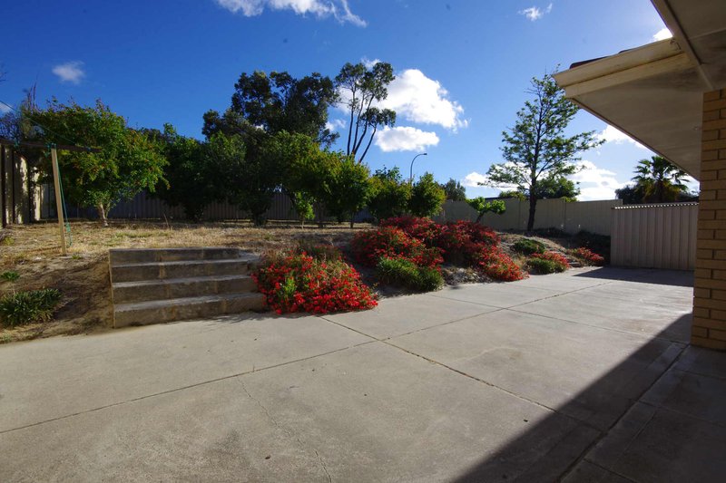 Photo - 1 Pagoda Gardens, Mirrabooka WA 6061 - Image 17