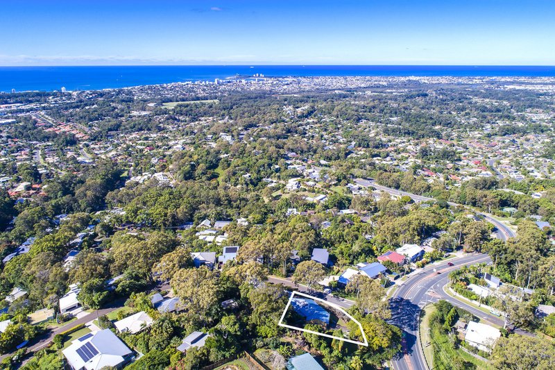 Photo - 1 Panorama Crescent, Buderim QLD 4556 - Image 14