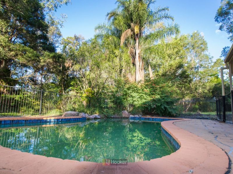 Photo - 1 Peregrine Street, Park Ridge QLD 4125 - Image 2