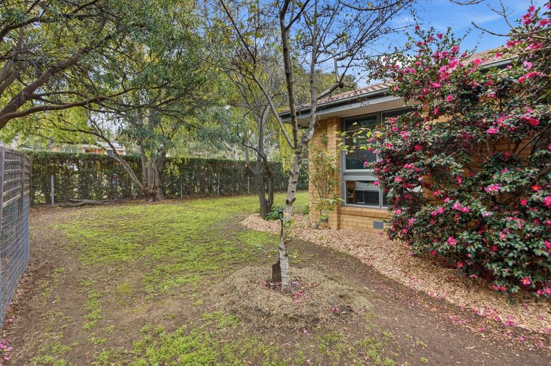 Photo - 1 Perry Drive, Chapman ACT 2611 - Image 20