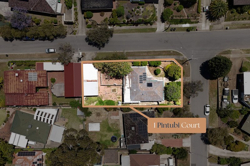 1 Pintubi Court, Modbury North SA 5092