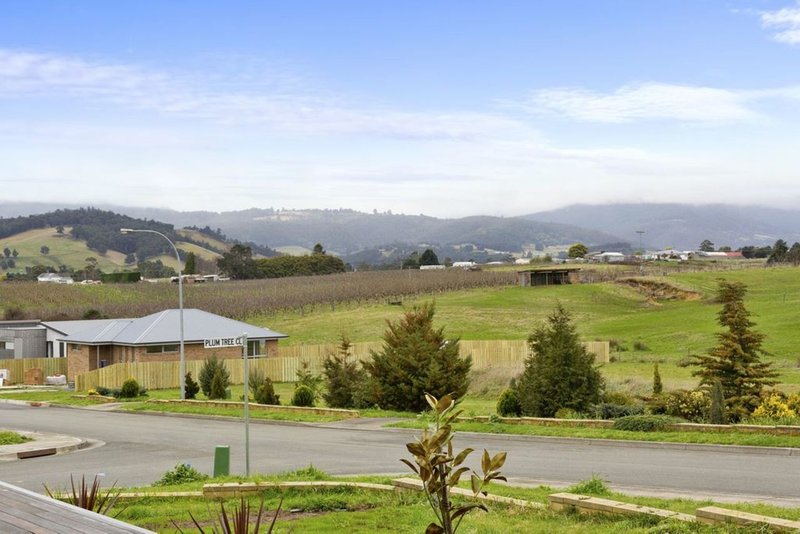 Photo - 1 Plum Tree Close, Huonville TAS 7109 - Image 13