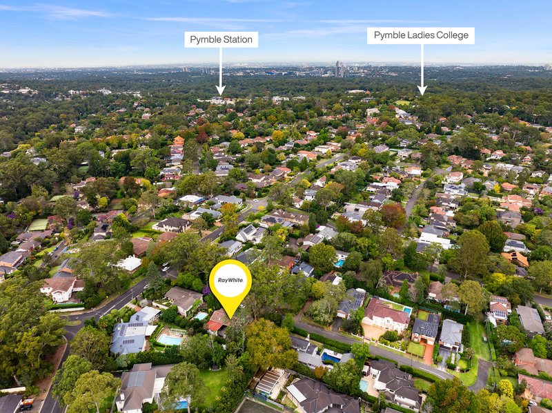 Photo - 1 Reynolds Street, Pymble NSW 2073 - Image 11