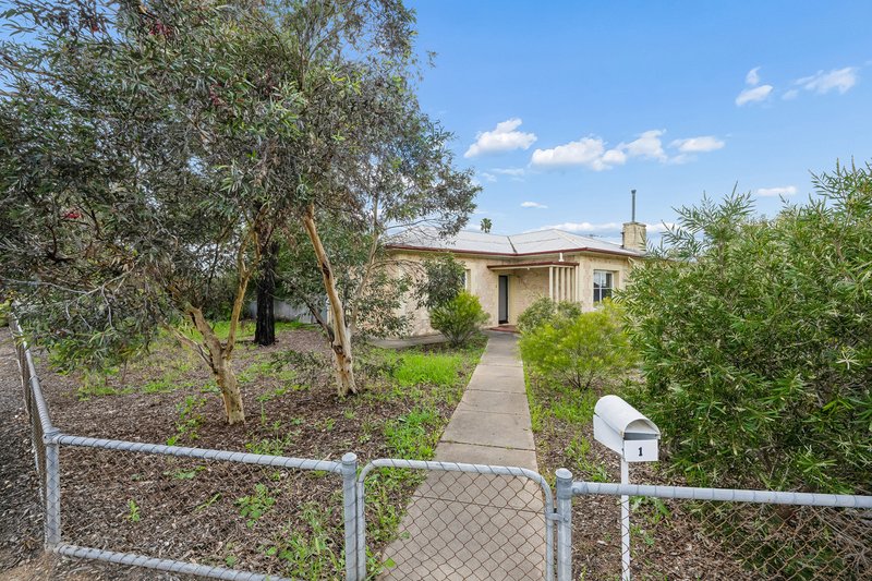 Photo - 1 Ridgeway Terrace, Murray Bridge SA 5253 - Image 2