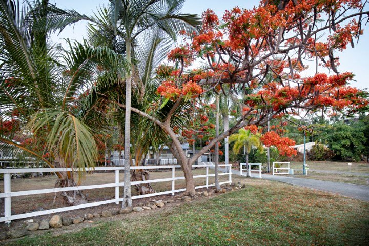 Photo - 1 Sandpiper Crescent, Jubilee Pocket QLD 4802 - Image 16