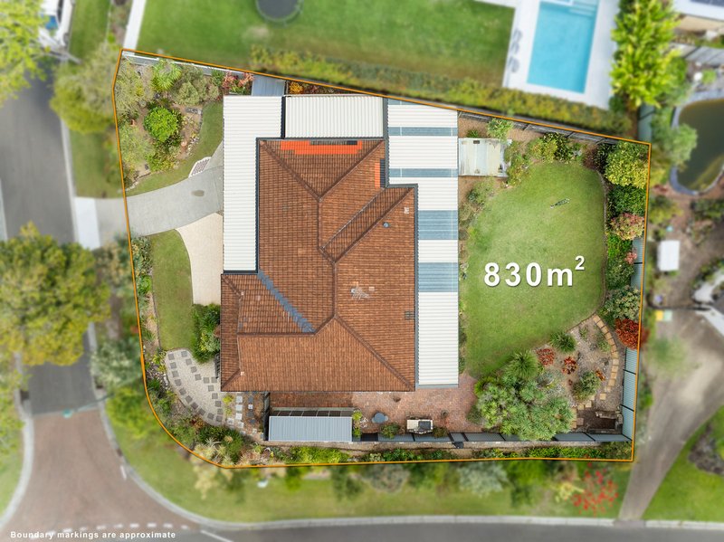 Photo - 1 Setaria Court, Cornubia QLD 4130 - Image 18