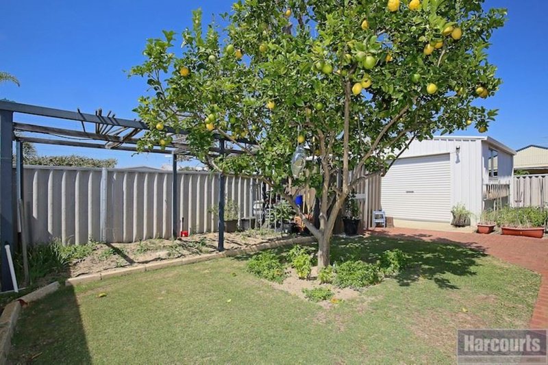 Photo - 1 Signet Court, Wannanup WA 6210 - Image 16