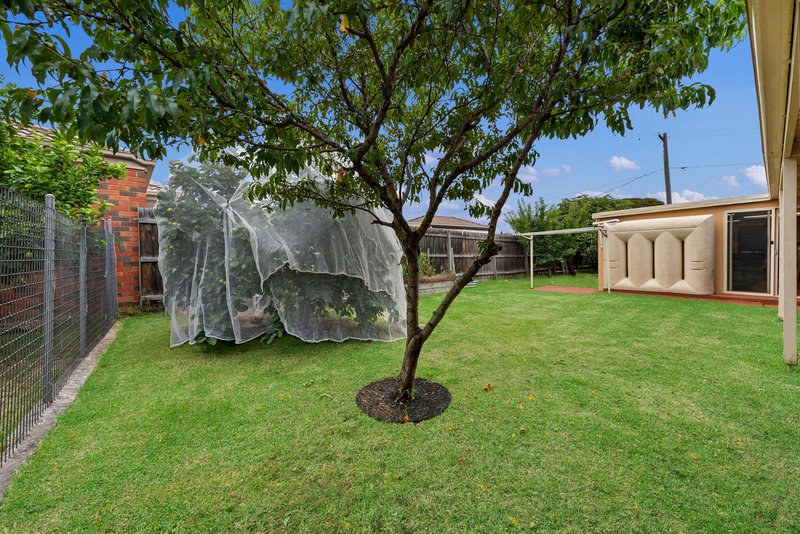 Photo - 1 Sittela Court, Werribee VIC 3030 - Image 15