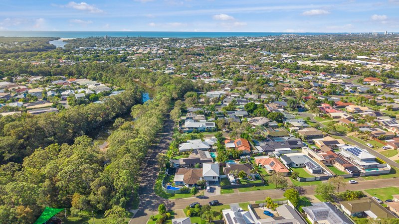 Photo - 1 Snowdrop Avenue, Currimundi QLD 4551 - Image 1