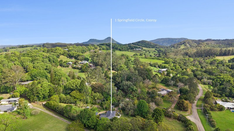 Photo - 1 Springfield Circle, Cooroy QLD 4563 - Image 15