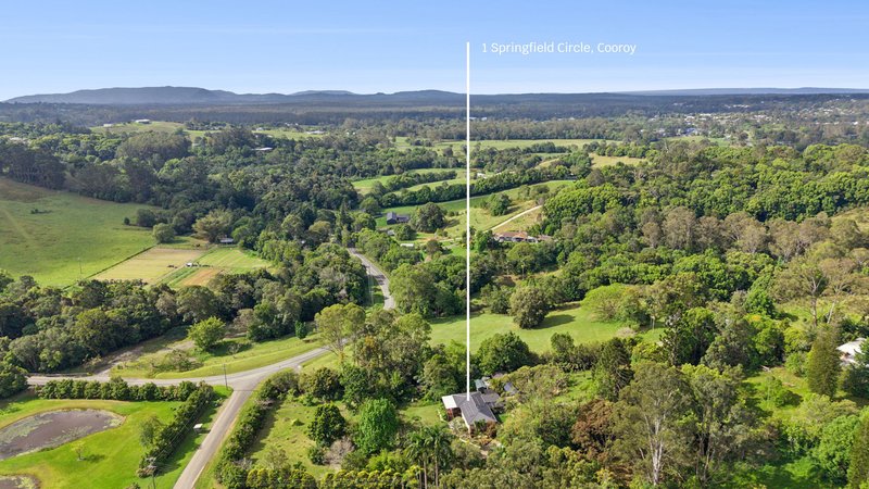 Photo - 1 Springfield Circle, Cooroy QLD 4563 - Image 16