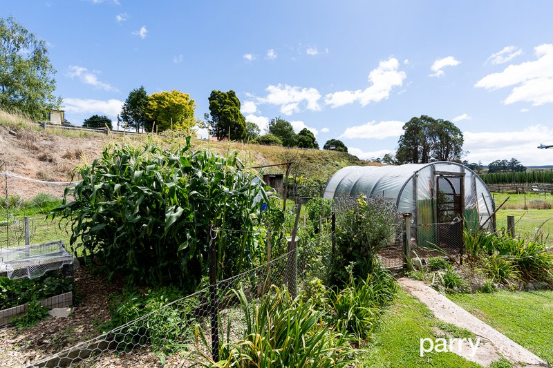 1 Stoke Street, Branxholm TAS 7261 Real Estate Industry Partners