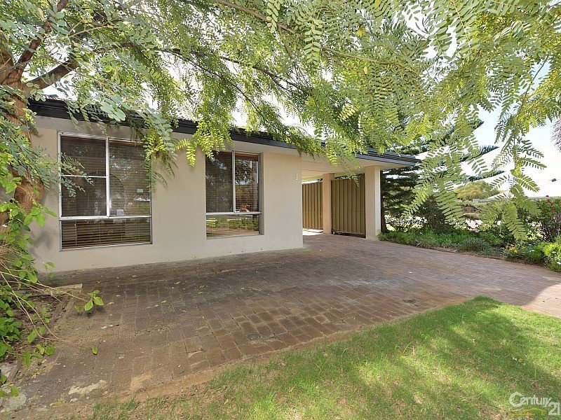 Photo - 1 Talwood Place, Halls Head WA 6210 - Image 14