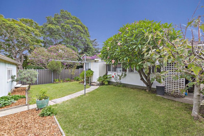 Photo - 1 Tawa Street, Ashfield NSW 2131 - Image 5