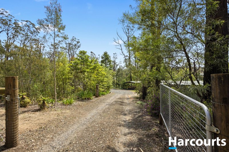 Photo - 1 Wanke Road, Mirboo North VIC 3871 - Image 21