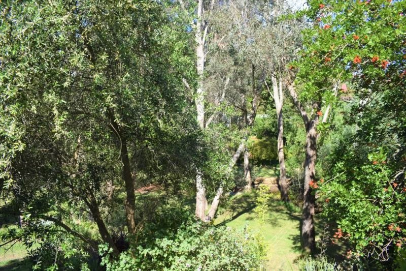 Photo - 1 Warren Rd , Nannup WA 6275 - Image 6