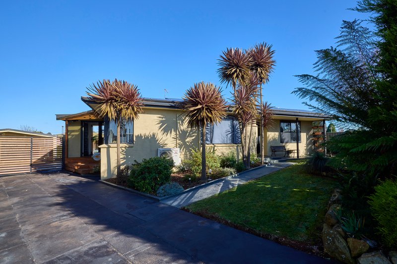 1 Willow Court, Winnaleah TAS 7265