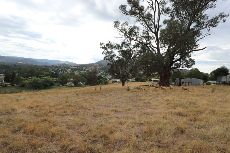 Photo - 1 Wongal Street, Tumbarumba NSW 2653 - Image 3