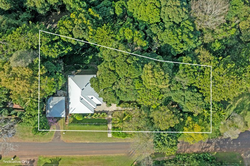 Photo - 10-14 Palm Grove Avenue, Tamborine Mountain QLD 4272 - Image 24