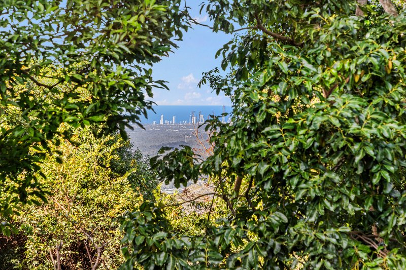 Photo - 10-14 Palm Grove Avenue, Tamborine Mountain QLD 4272 - Image 26