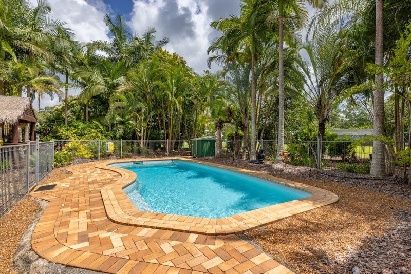 Photo - 10-16 Glenarba Court, Wamuran QLD 4512 - Image 31