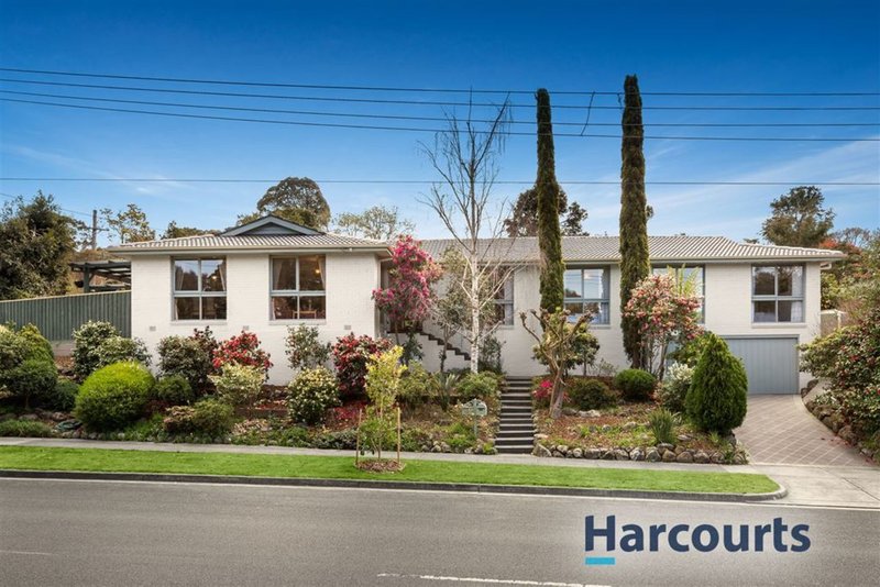 Photo - 10 Abbey Walk, Vermont VIC 3133 - Image 9