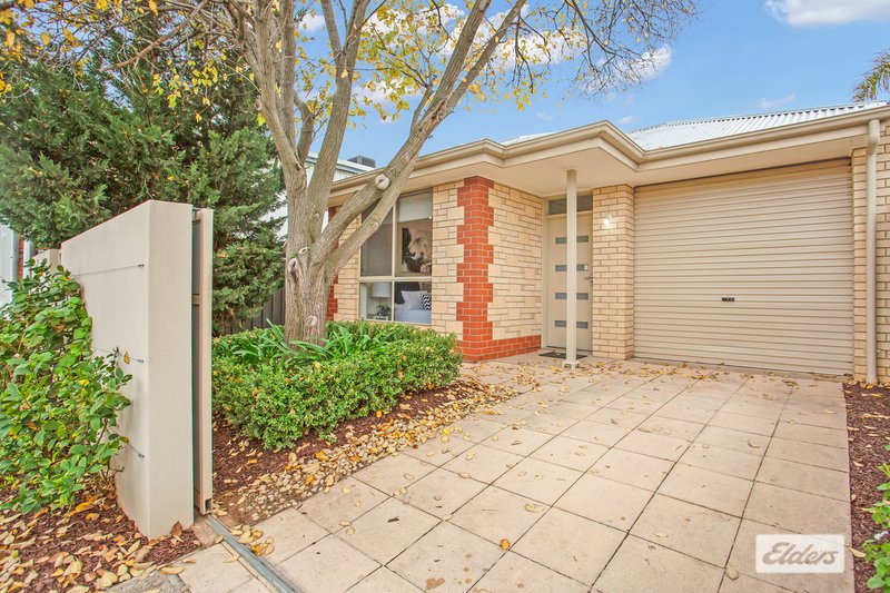 Photo - 10 Albemarle Street, West Hindmarsh SA 5007 - Image 2