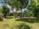 Photo - 10 Almond Grove, Glandore SA 5037 - Image 10