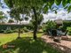 Photo - 10 Almond Grove, Glandore SA 5037 - Image 11