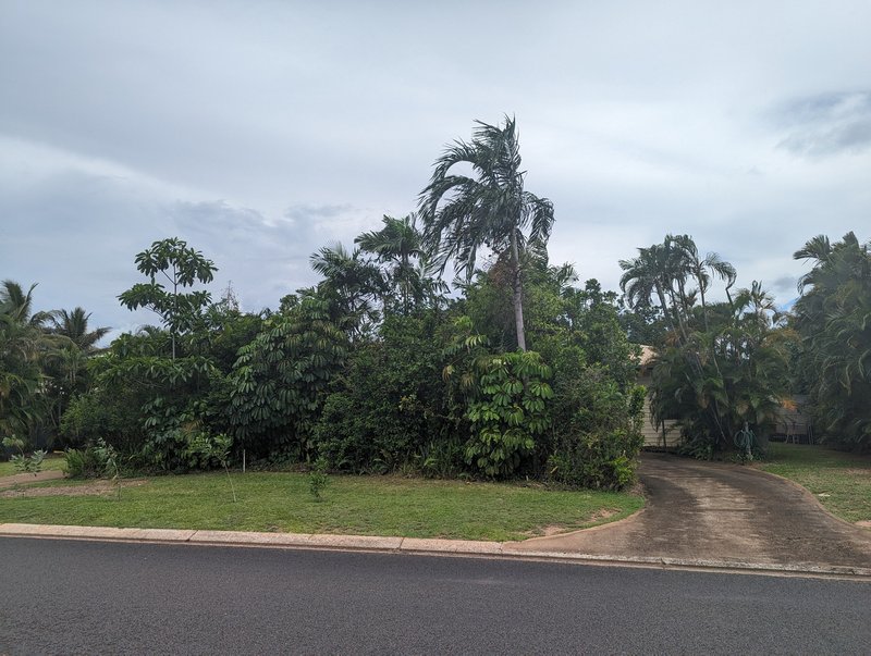 Photo - 10 Alstonia Drive, Nanum QLD 4874 - Image 2