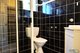 Photo - 10 Angela Boulevard, Mount Isa QLD 4825 - Image 5