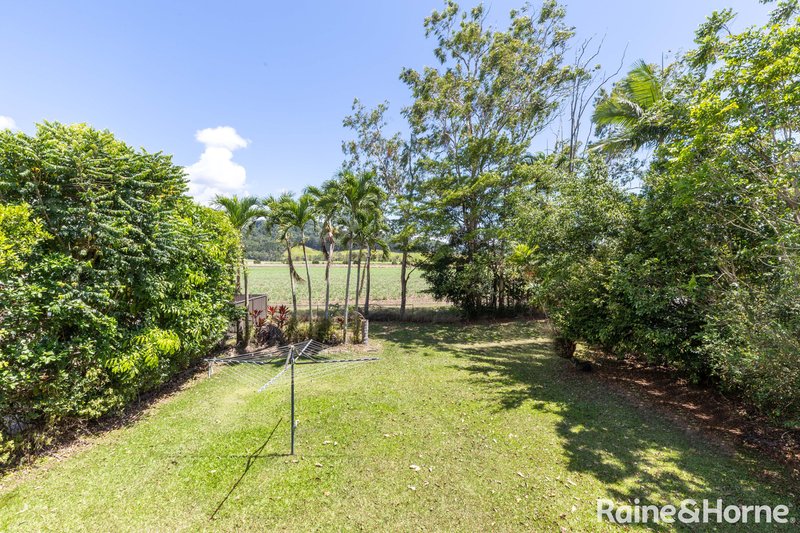 Photo - 10 Atherton Street, Mossman QLD 4873 - Image 16