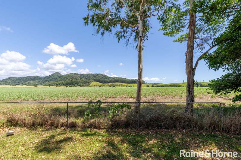 Photo - 10 Atherton Street, Mossman QLD 4873 - Image 17