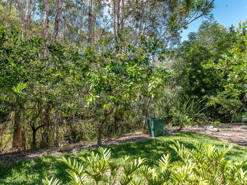 Photo - 10 Barcoola Place, Twin Waters QLD 4564 - Image 15