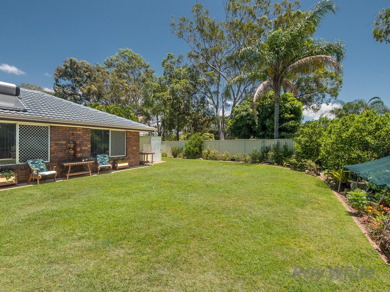 Photo - 10 Barfoot Street, Bracken Ridge QLD 4017 - Image 13