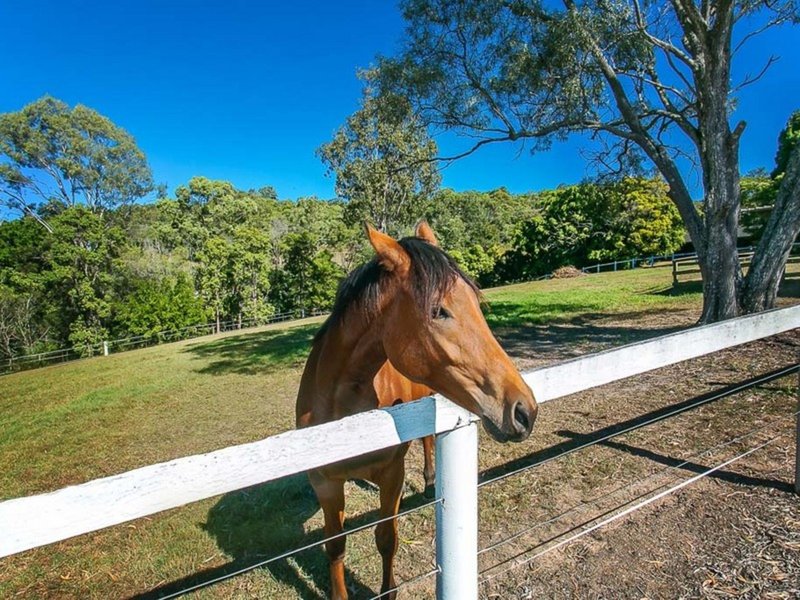 Photo - 10 Baron Ct , Tallai QLD 4213 - Image 2